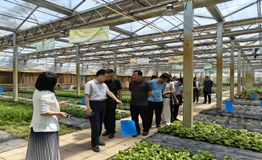 2024年6月27日，中国绿色食品发展中心有关辅导莅临农业总公司调查调研_副本.jpg